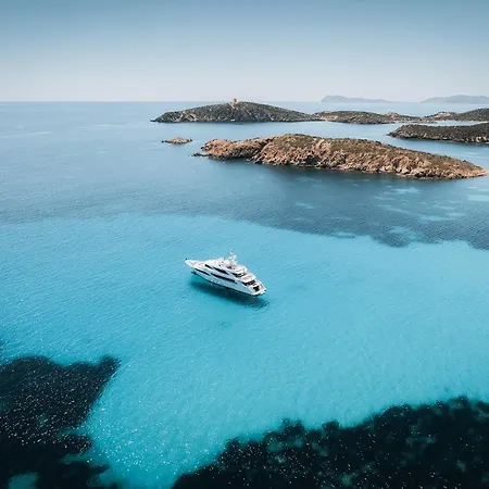 Purple House, 30m To