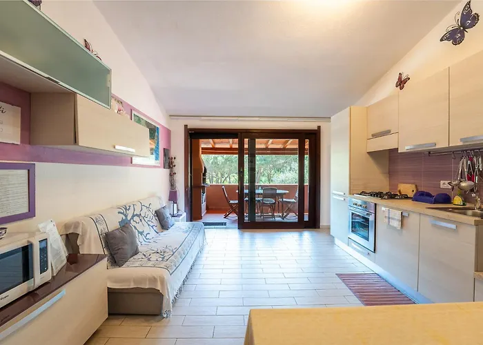 Purple House, 30m To